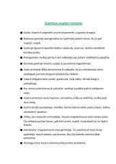 Vincas Mykolaitis-Putinas. Biografija, kontekstas, kūrybos analizė 13 puslapis