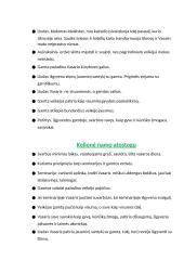 Vincas Mykolaitis-Putinas. Biografija, kontekstas, kūrybos analizė 14 puslapis