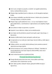 Vincas Mykolaitis-Putinas. Biografija, kontekstas, kūrybos analizė 19 puslapis