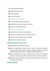 Vincas Mykolaitis-Putinas. Biografija, kontekstas, kūrybos analizė 4 puslapis