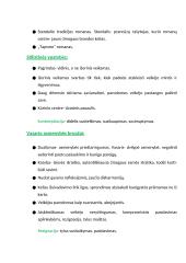 Vincas Mykolaitis-Putinas. Biografija, kontekstas, kūrybos analizė 5 puslapis