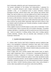 Socialinio darbuotojo kompetencijos ribos dirbant su grupe 3 puslapis