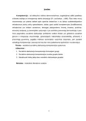 Socialinio darbuotojo kompetencijos ribos dirbant su grupe 9 puslapis