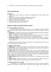 Socialinio darbuotojo pagalba vaikams ir paaugliams patyrusiems smurtą šeimoje 16 puslapis