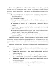 Socialinio darbuotojo profesiniai ypatumai dirbant su nuo alkoholio priklausančių tėvų vaikais 13 puslapis