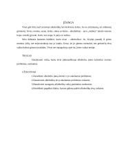 Socialinio darbuotojo profesiniai ypatumai dirbant su nuo alkoholio priklausančių tėvų vaikais 3 puslapis