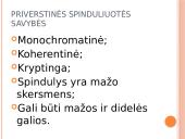 Atomo ir branduolio fizika. Skaidrės 16 puslapis