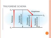 Atomo ir branduolio fizika. Skaidrės 19 puslapis