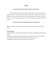 Pokyčiai Klaipėdoje, kurie atsirado jai tapus Prūsijos karalystės sostine 2 puslapis