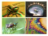 Šviesos interferencija (skaidrės) 2 puslapis