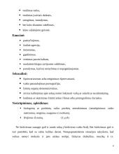 Socialinio pedagogo darbas su prievartą patyrusiais vaikais 4 puslapis