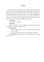 Socialinis reiškinys - savižudybė 2 puslapis