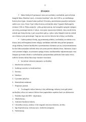 Socialinis reiškinys - savižudybė 11 puslapis