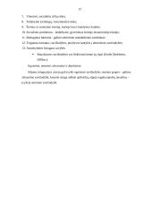 Socialinis reiškinys - savižudybė 12 puslapis