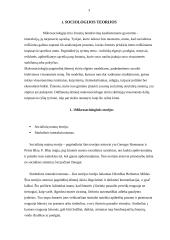 Socialinis reiškinys - savižudybė 3 puslapis