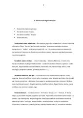 Socialinis reiškinys - savižudybė 4 puslapis