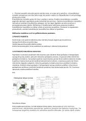 Konspektas pamatų egzaminui 2 puslapis