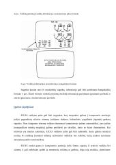 BOEING 787 Orlaivio diagnostikos sistemos 10 puslapis