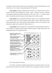 BOEING 787 Orlaivio diagnostikos sistemos 11 puslapis