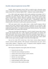 BOEING 787 Orlaivio diagnostikos sistemos 14 puslapis