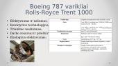 Boeing 787 Modifikacijos. Varikliai. Diagnostinės sistemos 7 puslapis