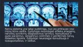 Neurologija 7 puslapis