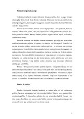 Socializacija vaikystėje - motinos įtaka, žaidimai, televizija 3 puslapis