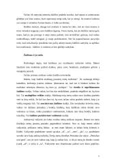 Socializacija vaikystėje - motinos įtaka, žaidimai, televizija 4 puslapis