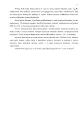 Benamystės problema Lietuvos ir Europos sąjungos socialinės politikos kontekste 9 puslapis