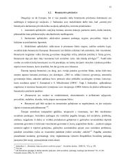 Benamystės problema Lietuvos ir Europos sąjungos socialinės politikos kontekste 13 puslapis