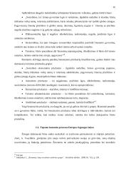 Benamystės problema Lietuvos ir Europos sąjungos socialinės politikos kontekste 14 puslapis