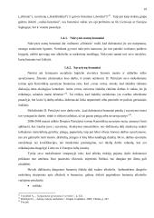 Benamystės problema Lietuvos ir Europos sąjungos socialinės politikos kontekste 17 puslapis