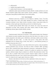 Benamystės problema Lietuvos ir Europos sąjungos socialinės politikos kontekste 18 puslapis