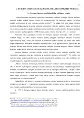 Benamystės problema Lietuvos ir Europos sąjungos socialinės politikos kontekste 19 puslapis