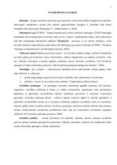 Benamystės problema Lietuvos ir Europos sąjungos socialinės politikos kontekste 5 puslapis