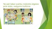 Reikalavimai, užtikrinantys saugią ir sveiką vaiko aplinką 13 puslapis