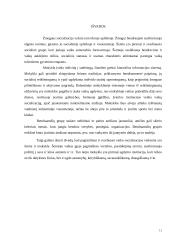 Socializacijos mikrofaktoriai: įtaka ir vaidmuo žmogaus socializacijai 11 puslapis