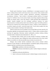 Socializacijos mikrofaktoriai: įtaka ir vaidmuo žmogaus socializacijai 3 puslapis