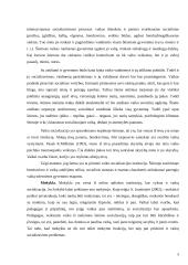 Socializacijos mikrofaktoriai: įtaka ir vaidmuo žmogaus socializacijai 8 puslapis