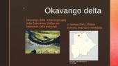 Okavango delta 