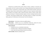 Sociokultūrinis bendravimas 2 puslapis