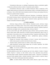 Sociokultūrinis bendravimas 4 puslapis