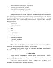 Sociokultūrinis bendravimas 7 puslapis