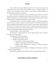 Lietuvos politinė kultūra ir sovietinis palikimas kultūroje 2 puslapis