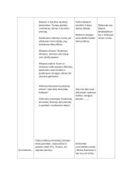 Išplėstinis lietuvių kalbos pamokos planas. Diktantas 2 puslapis
