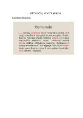 Išplėstinis lietuvių kalbos pamokos planas. Diktantas 4 puslapis