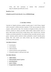 Referatas apie Australiją 12 puslapis