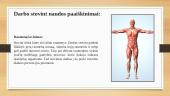Darbas sėdint, stovint ir judant 15 puslapis