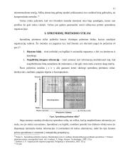 Sprendimų priėmimas administracinėje organizacijoje 11 puslapis