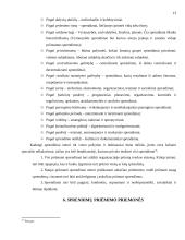 Sprendimų priėmimas administracinėje organizacijoje 13 puslapis